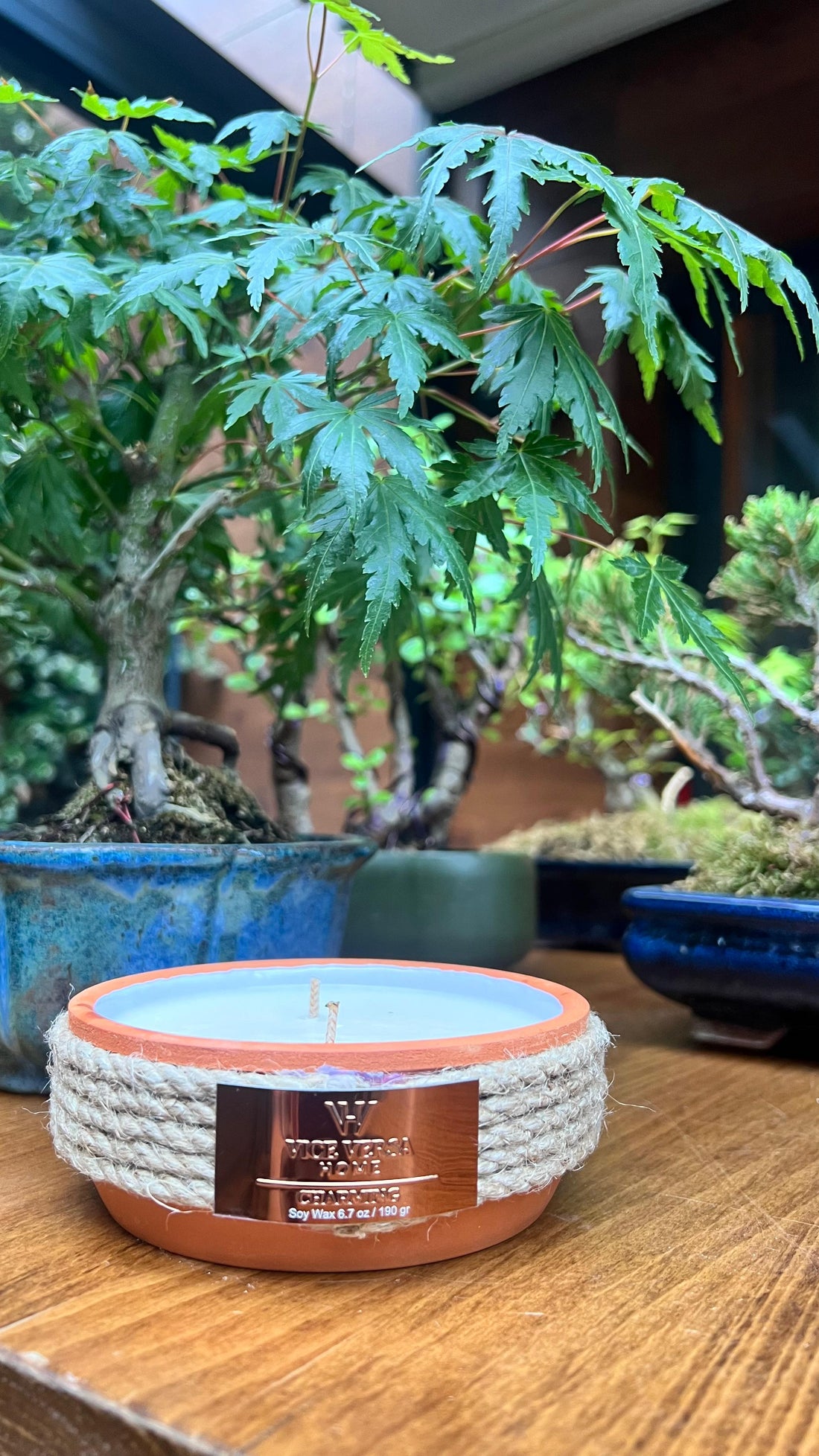 El Yapımı Toprak Kase Soya Wax Kokulu Mum - Charming