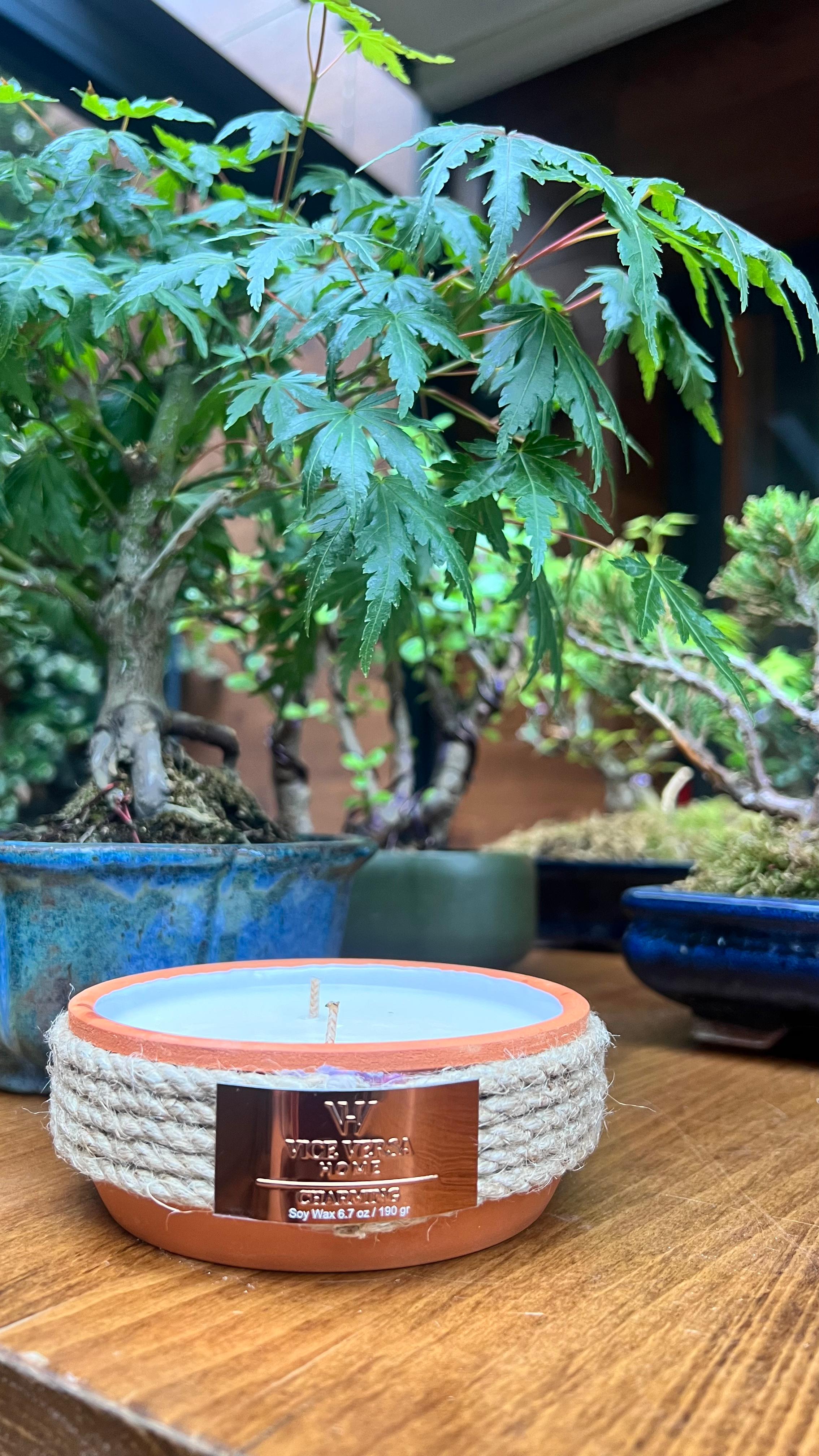 El Yapımı Toprak Kase Soya Wax Kokulu Mum - Charming